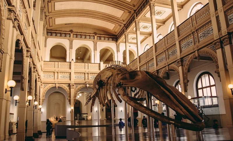 Museu Nacional de História Natural - Santiago