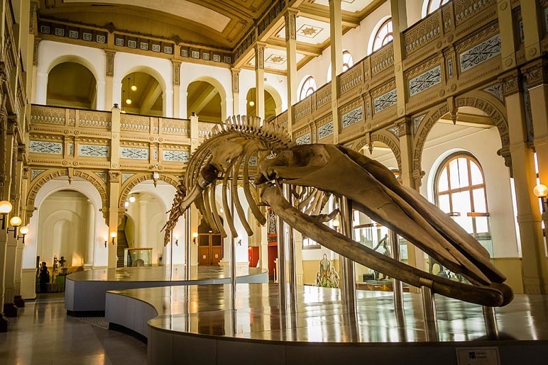 História do Museu Nacional de História Natural
