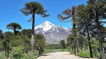 Parque Nacional Villarrica em Pucón