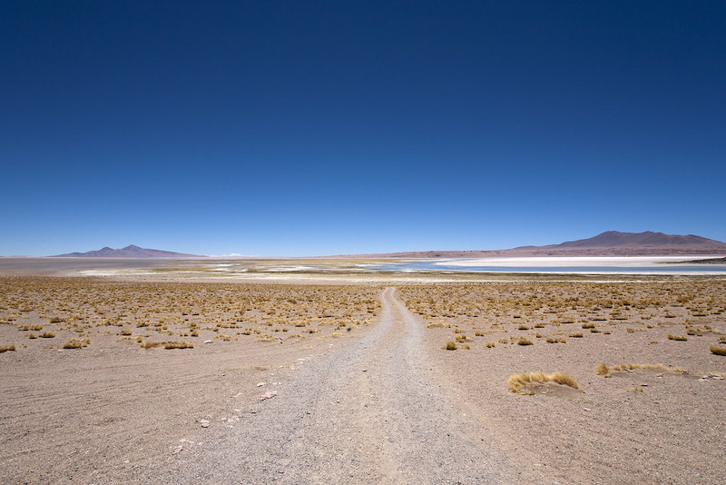 Salar de Talar - São Pedro do Atacama