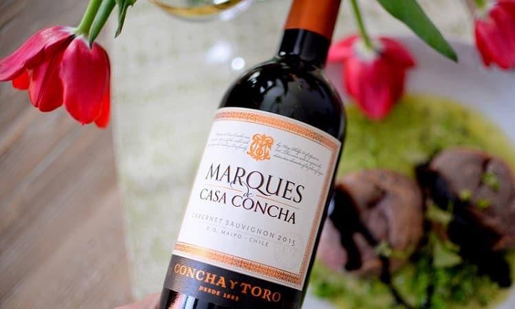Ingresso para o passeio Marques pela vinícola Concha y Toro no Chile