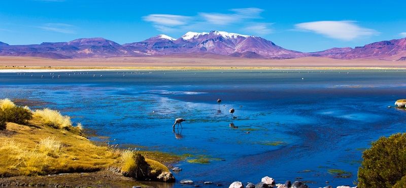 Natureza em San Pedro do Atacama