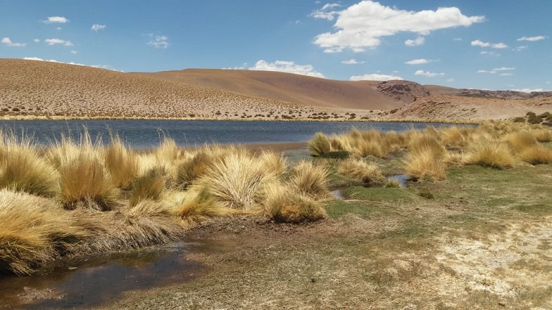 Vista da Rota dos Salares em San Pedro do Atacama