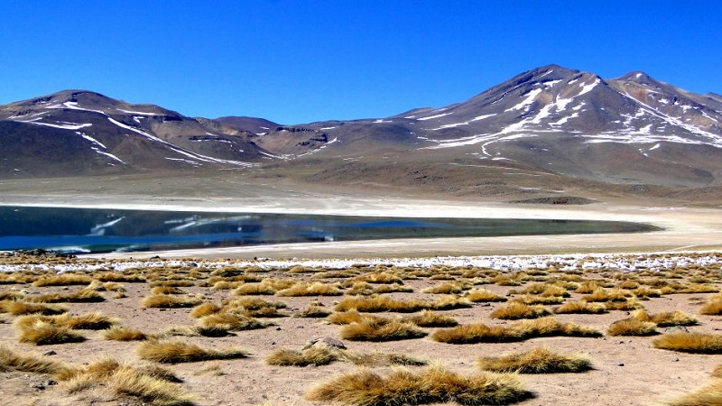 Piedras Rojas e Lagunas Altiplanicas em San Pedro do Atacama