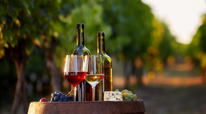 Top 10 vinícolas do Chile