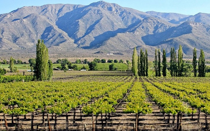 Top 10 vinícolas do Chile