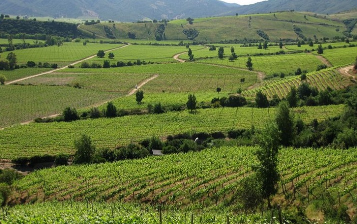 Tudo sobre a vinícola Montes nos arredores de Santiago