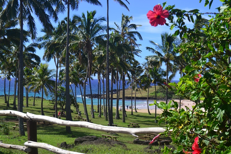 Espaço arborizado da praia Anakena na Ilha de Páscoa