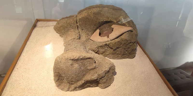 Olho Moai no Museu Antropológico da Ilha de Páscoa