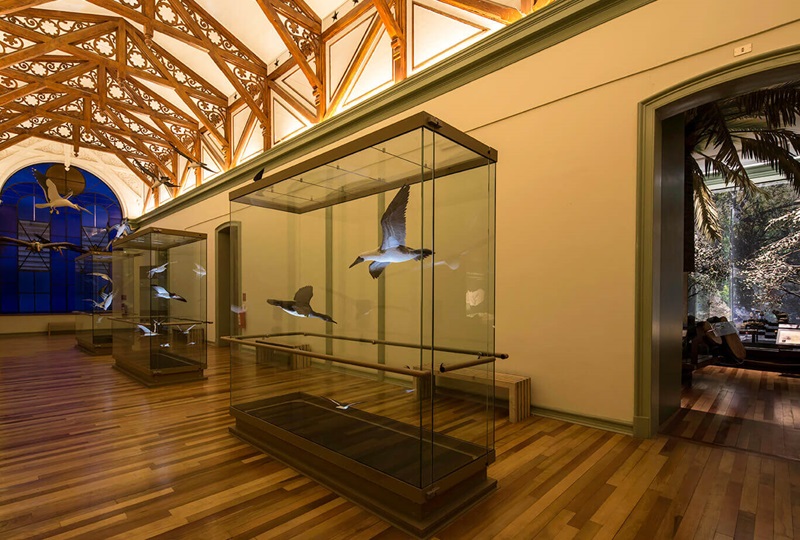 Interior do Museu de História Natural em Valparaíso