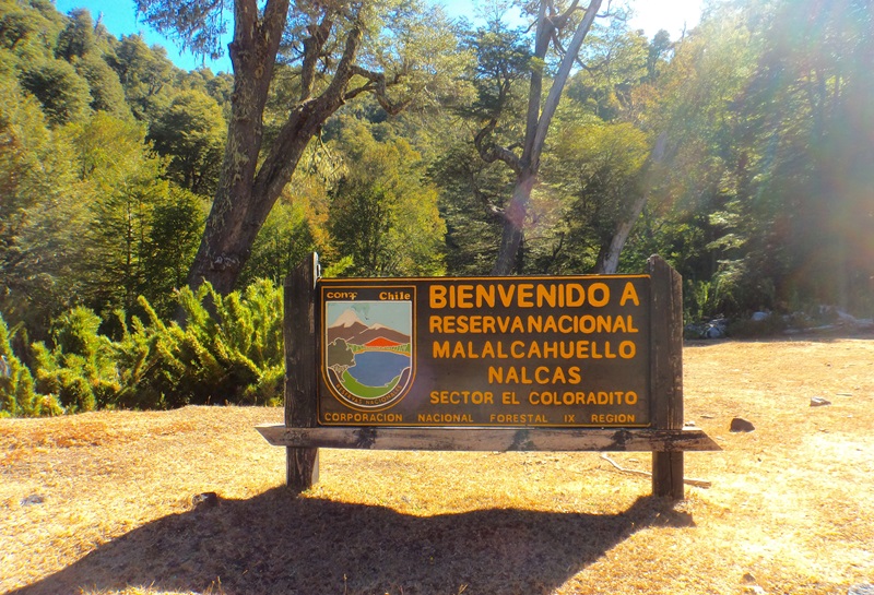 Placa de sinalização da Reserva Nacional Malalcahuello perto de Temuco